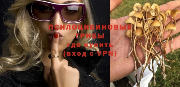 мяу мяу мука Лихославль